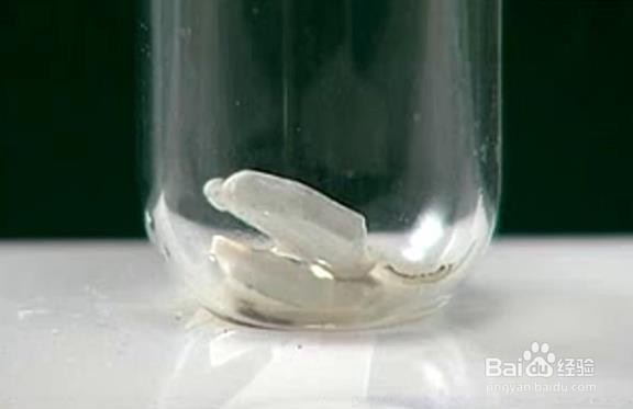 乙酸乙酯的制备