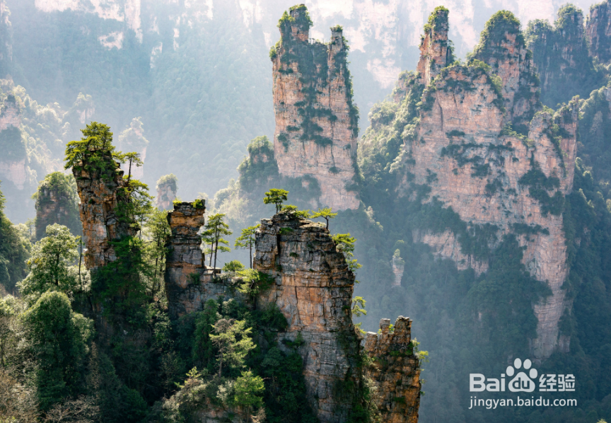 张家界旅游攻略2019