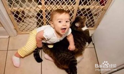 怎样面对熊孩子？？