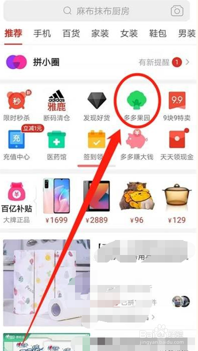 拼多多种水果怎么进入
