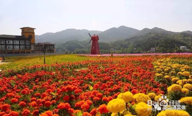 英山四季花海好玩吗四季花海旅游攻略