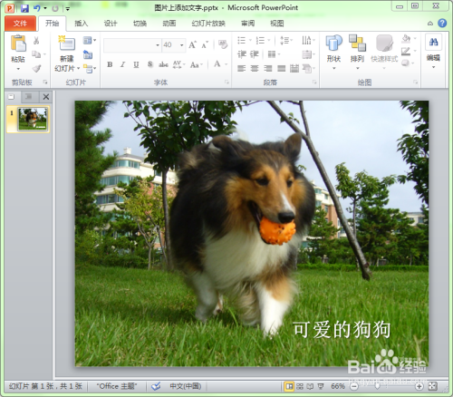 如何在幻灯片的图片中添加文字