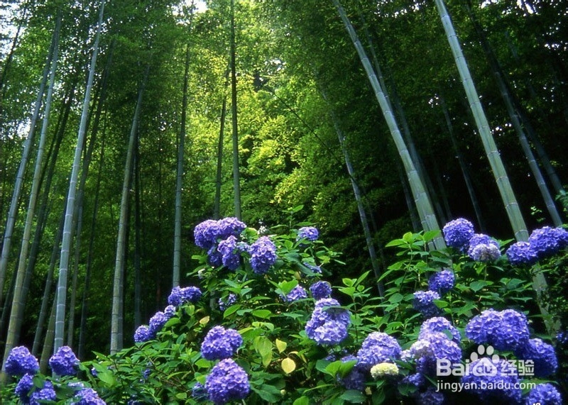 张家界旅游攻略之自驾游攻略