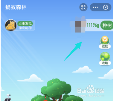 支付宝个人碳足迹查看方法