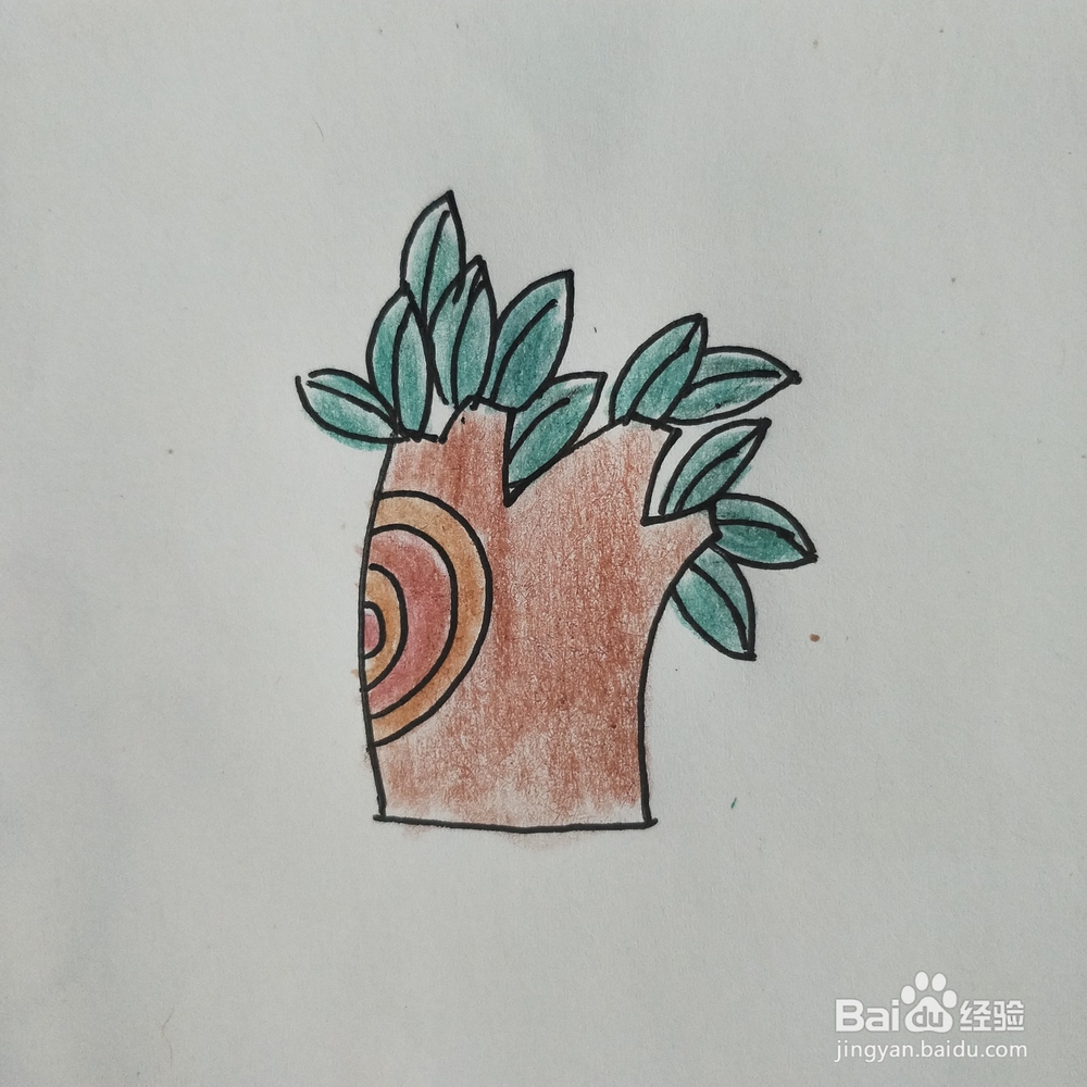 怎么画树木的简笔画(三)