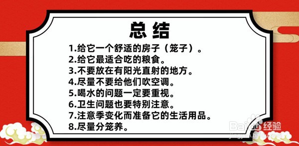 仓鼠怎么养 养仓鼠的注意事项