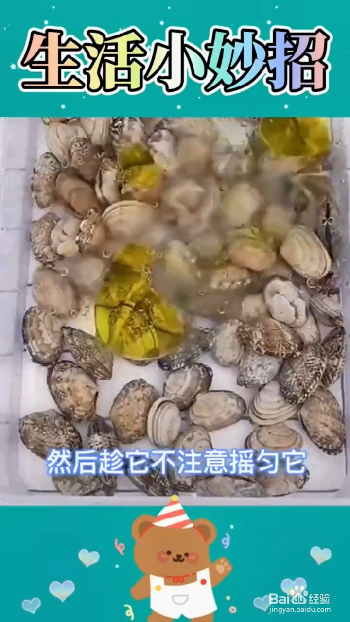 如何让花甲吐沙