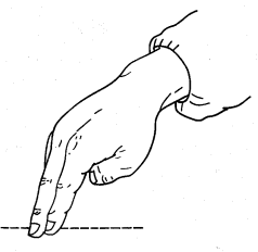 保健按摩概论、手法