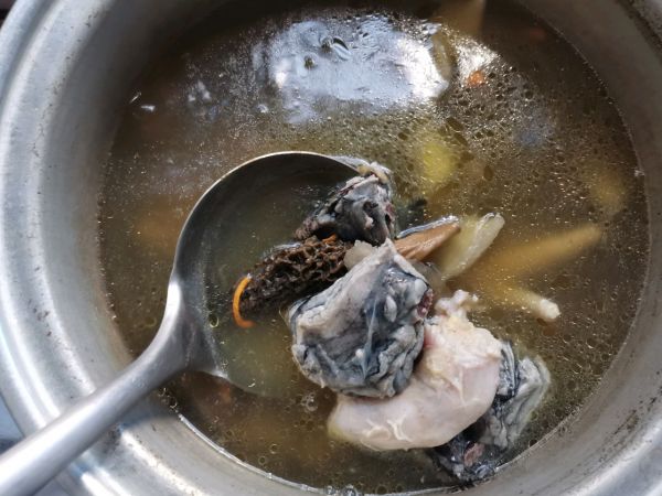 羊肚菌海参乌鸡汤