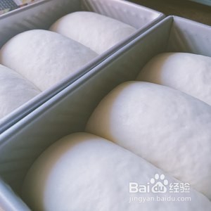 70%中种北海道奶油吐司的做法