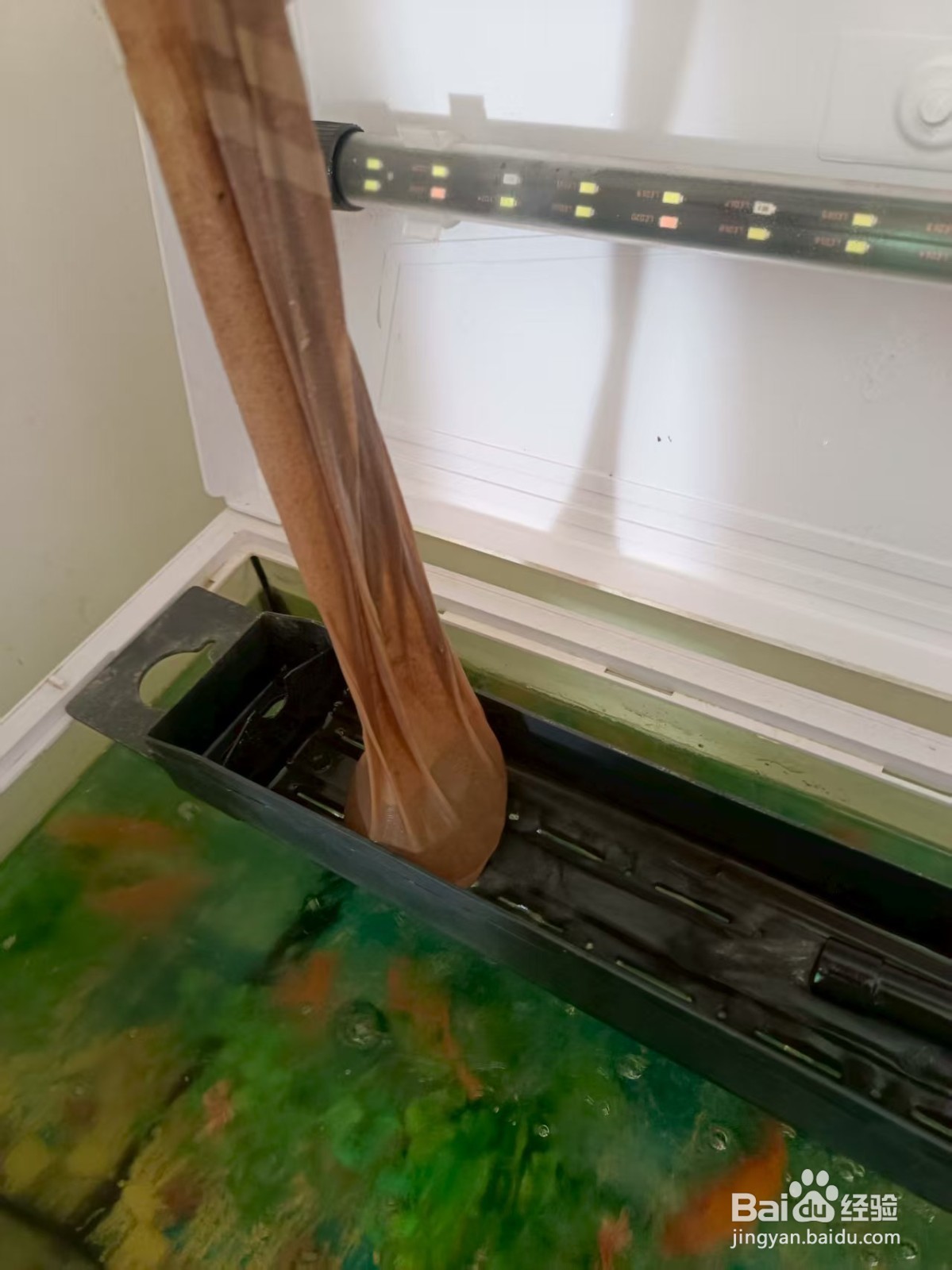 鱼缸少换水妙招