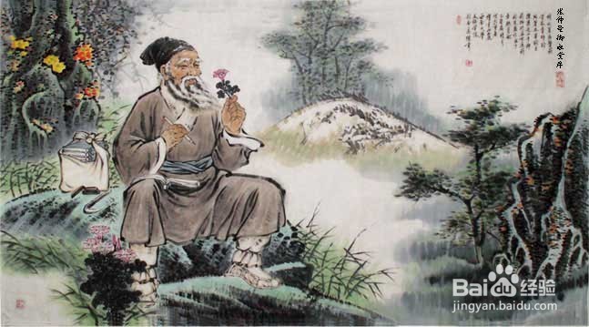 《伤寒杂病论》的养生智慧