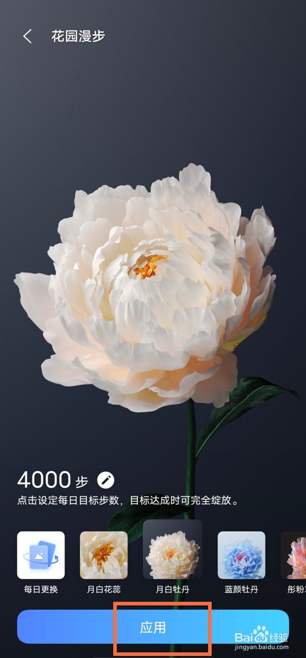 vivox70pro+动态壁纸在哪