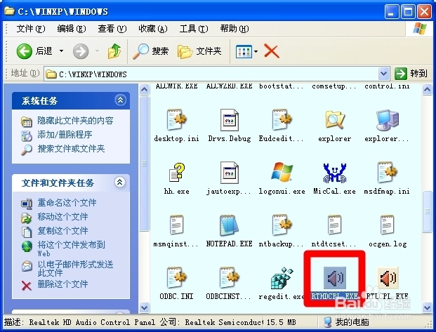 启动项：[3]RTHDCPL