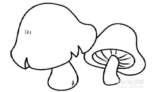 如何快速泡发香菇?