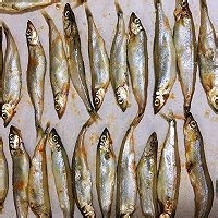 怎么做美味的辣烤多春鱼?