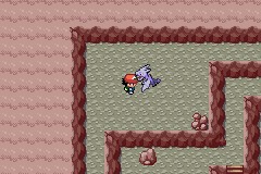 口袋妖怪圣灰攻略图片5