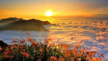 造化之功（阿里山）