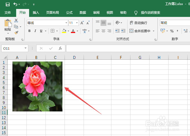 excel2019如何将插入的图片设置长宽一样