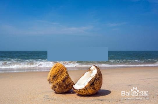 如何在小海岛上生存？