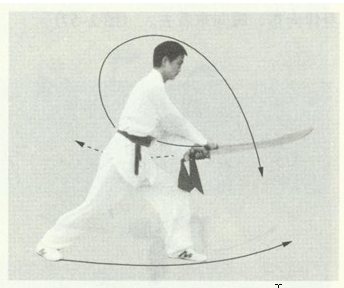 赵堡太极双刀之双刀屠龙图解