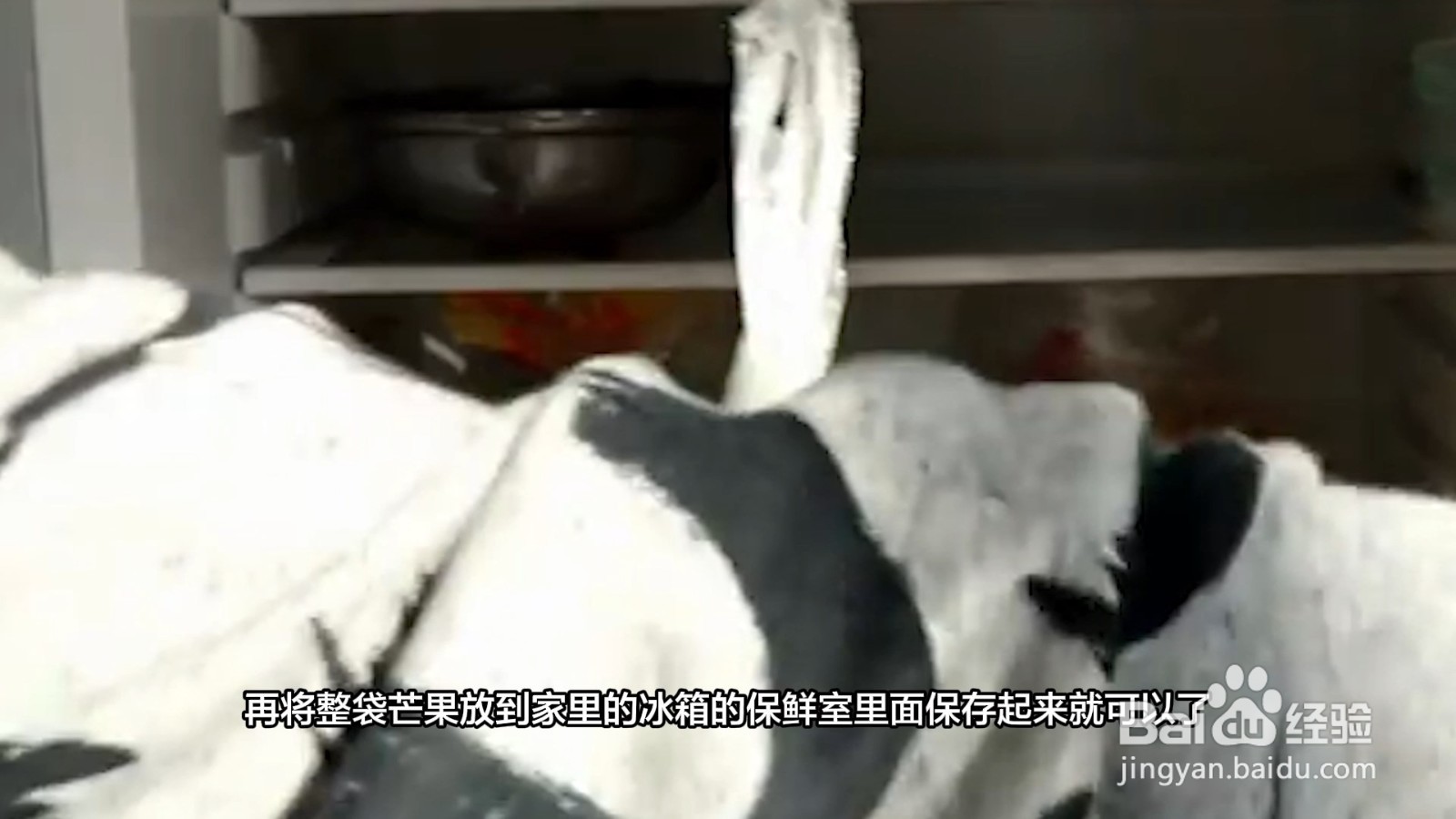 芒果怎么保存可以放得更久