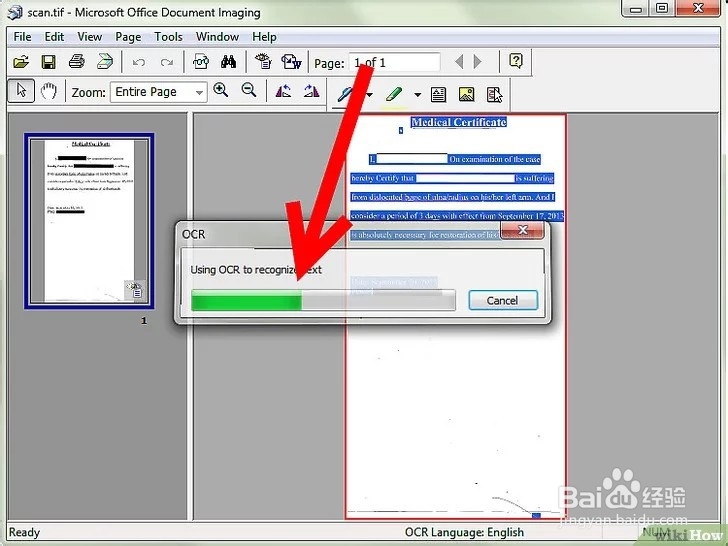 如何将扫描文档转换为 Microsoft Word 文档