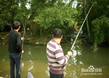 钓鱼遇到蛇怎么办