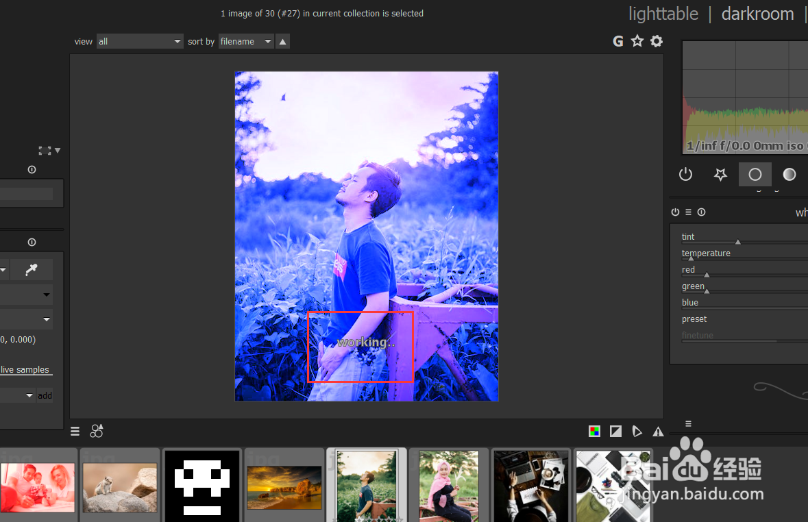 如何使用darktable修改图像的蓝色色调？