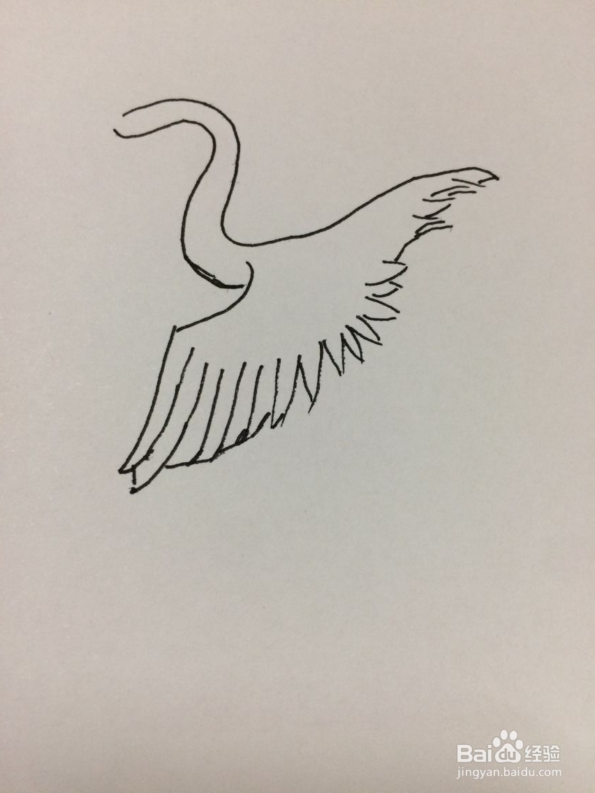 简笔画仙鹤的方法