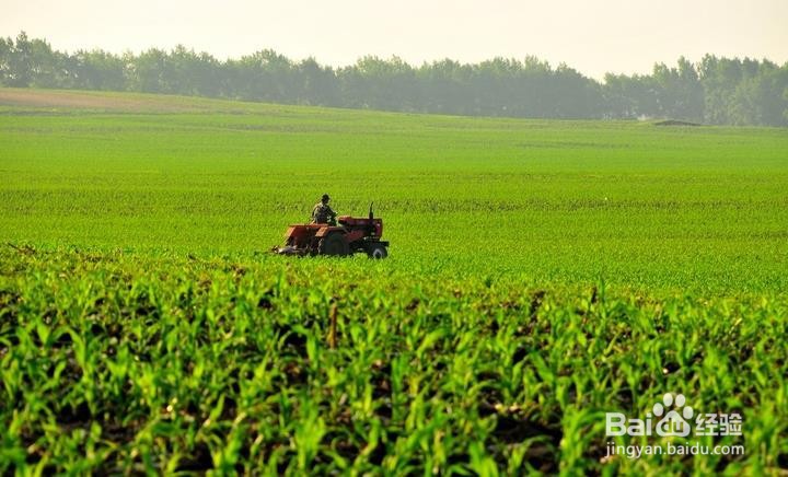 小型自动气象站安装场地如何选择？