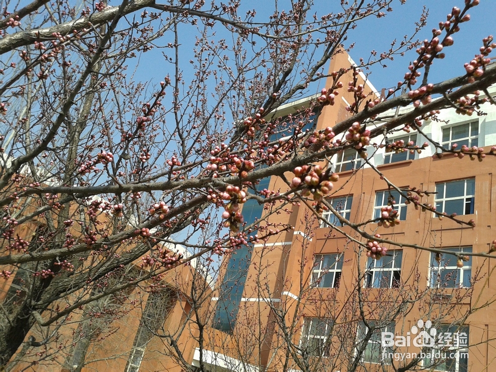 蜂蜜的几大功效,我和小伙伴们都惊呆了。