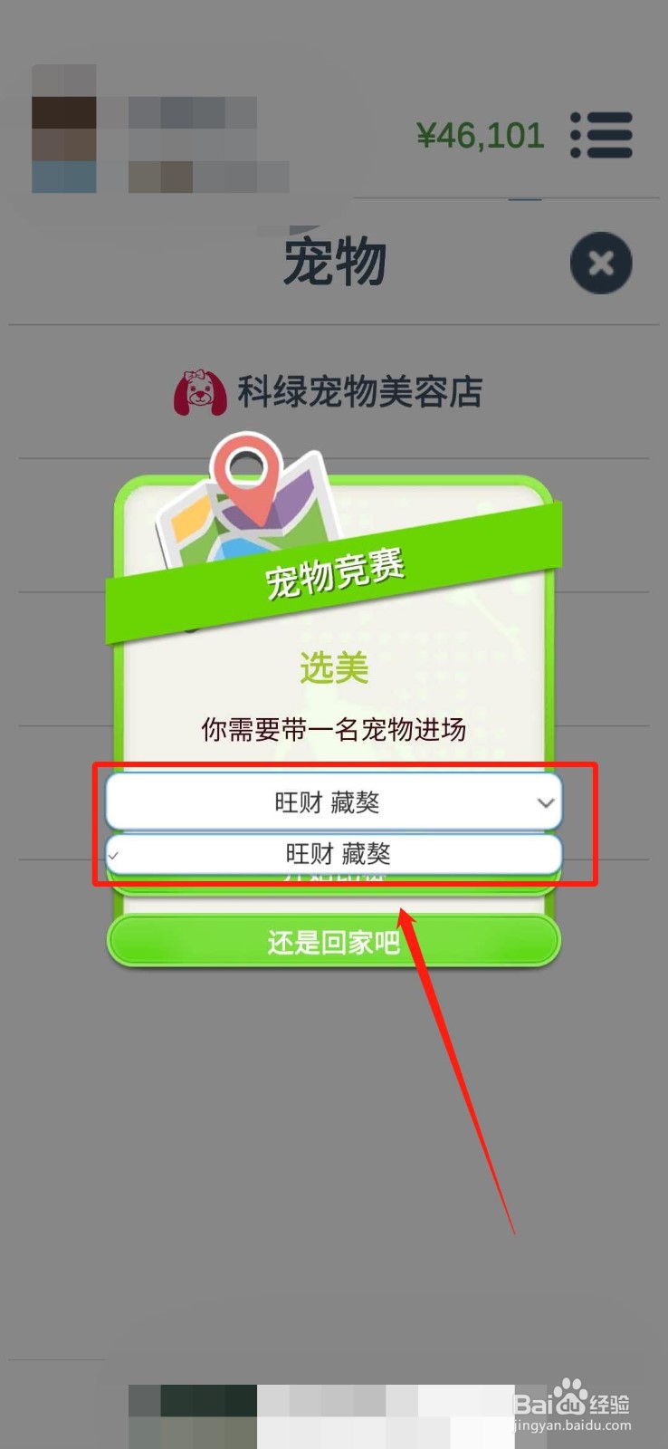 《第二人生》怎么带你的宠物参加宠物竞赛