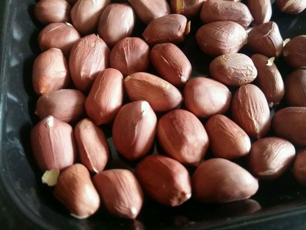 花生酱蔬菜拌面