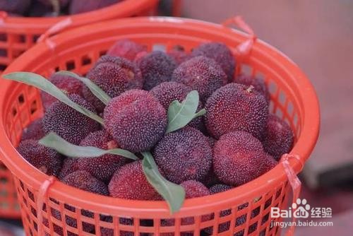 苏州西山岛旅游攻略