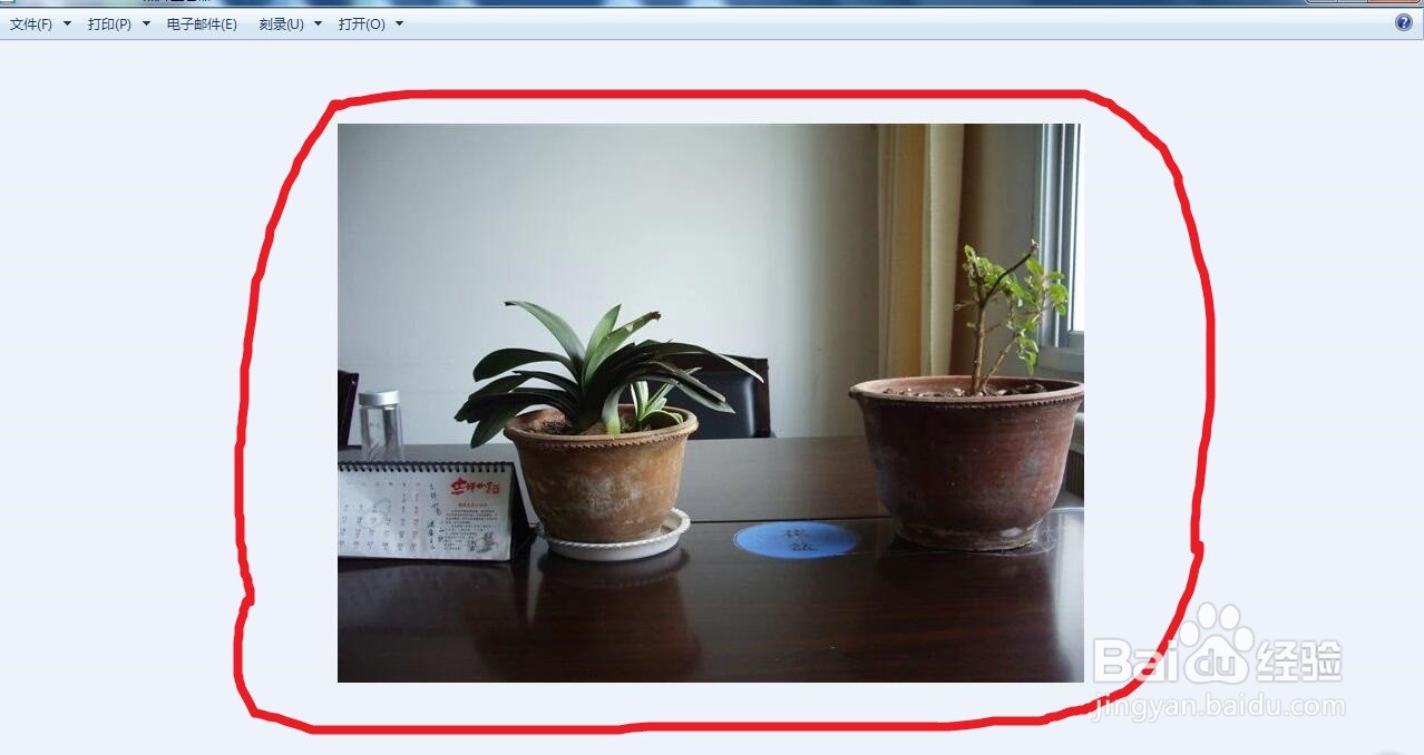 QQ相册照片怎么下载