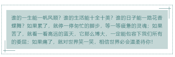 岁月静好，微信公众号的图文应该这样排版。