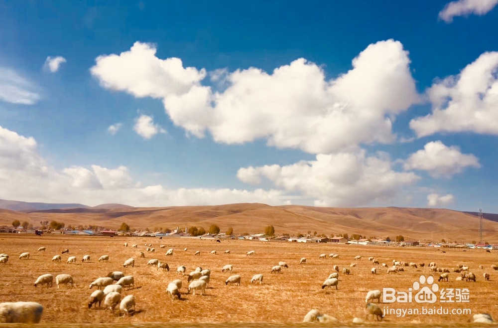 都说人活一世，一定要走一趟大西北