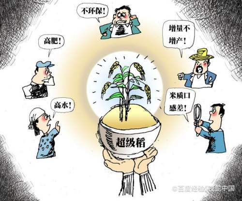 杂交水稻种子怎么来的