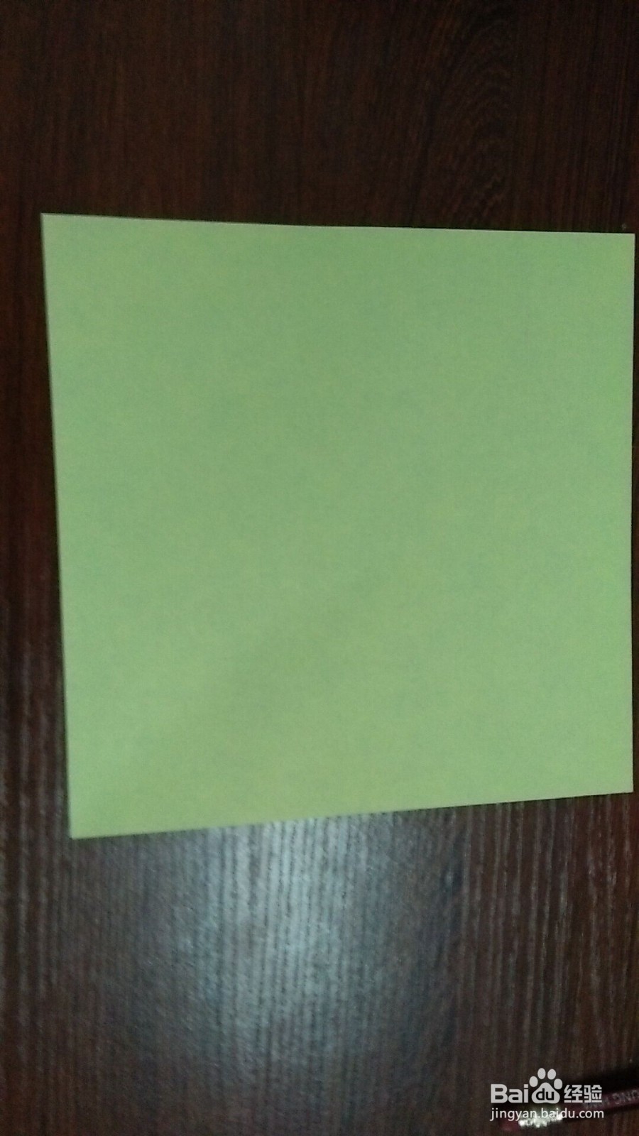 手工折纸——水鸟(1)