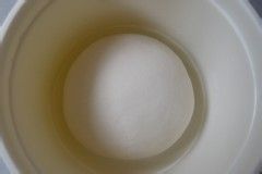 韭菜鲜虾包