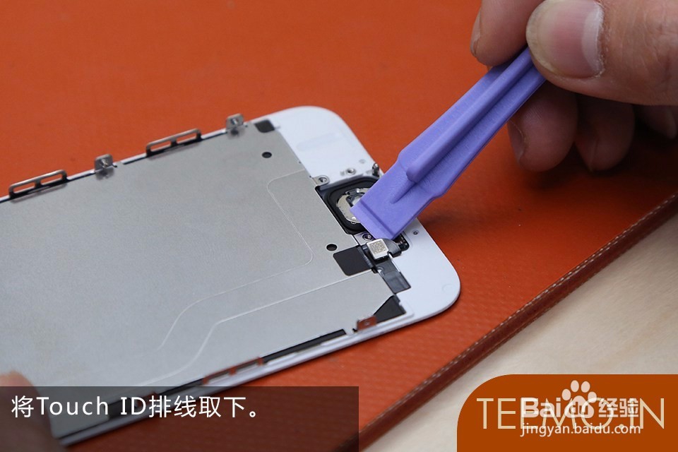 苹果手机屏幕摔碎了怎么办？