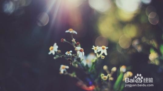 亚马逊、eBay卖家须知:低税率不一定省钱