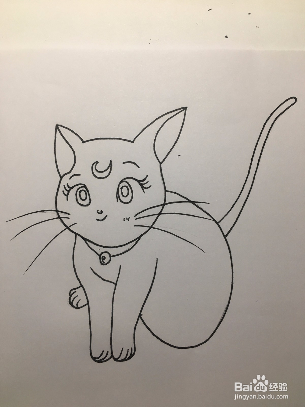 彩绘:手绘一只有月亮标记的卡通猫咪 动漫线稿