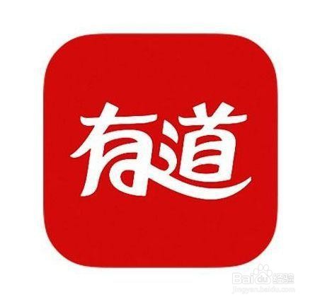 怎么使用有道词典进翻译文本?
