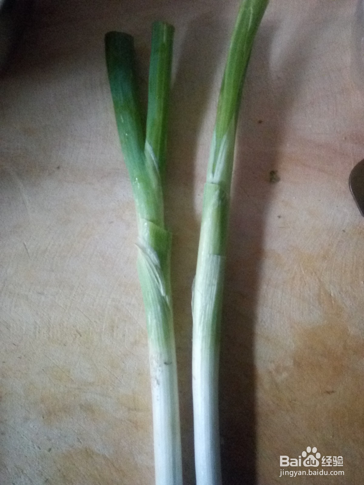 家常菜土豆炖豆角