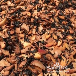 紫苏桃子干的做法