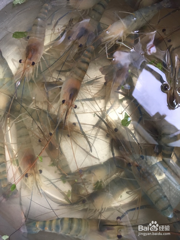 虾肉菜泡饭的做法