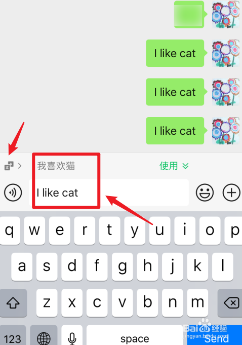 微信怎么没有边写边译功能