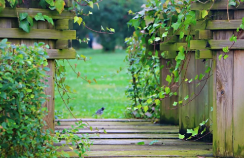 雨后,其他的景物还会有怎样的变化?请选择一种写一写